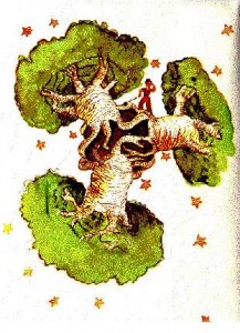 baobab-el-principito