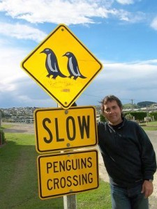 11-pinguinos cruzando