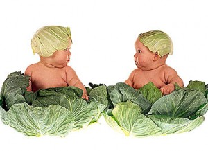 fertilidad fertilidad