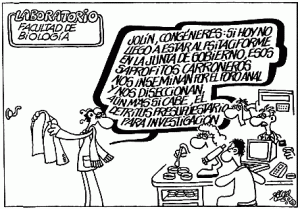 investigadores