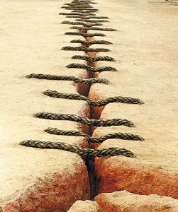 lazos y naturaleza