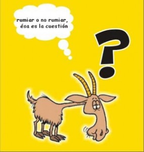 dilemas dudas decisiones