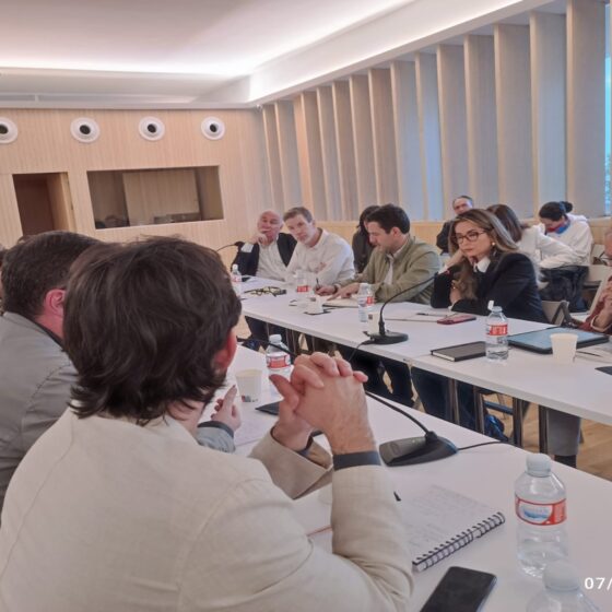 Fundación Ortega Marañon